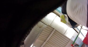 മകന്റെ ബെസ്റ്റ് ഫ്രണ്ടിനെ തല്ലിക്കൊല്ലാൻ മമ്മൂട്ടി