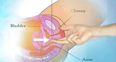 ലെസ്ബിയന്സ് ആരെയും നാണം കെടുത്തുന്നില്ല, ഹാളില്