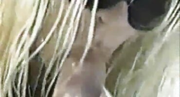 മകൻ റഷ്യൻ അമ്മ ശല്യപ്പെടുത്തുന്നു സന്തോഷവും ധാരാളം ലഭിക്കുന്നു